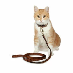 Hot Sale 🛒 Patricia Nash Printed Leather Pet Leash Vintage Botanical Garden 🧨 -Vintage Leather Handbag Store unnamed file 1351