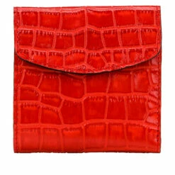 Brand new β¨ Patricia Nash Reiti Leather Frame Wallet European Map β¨